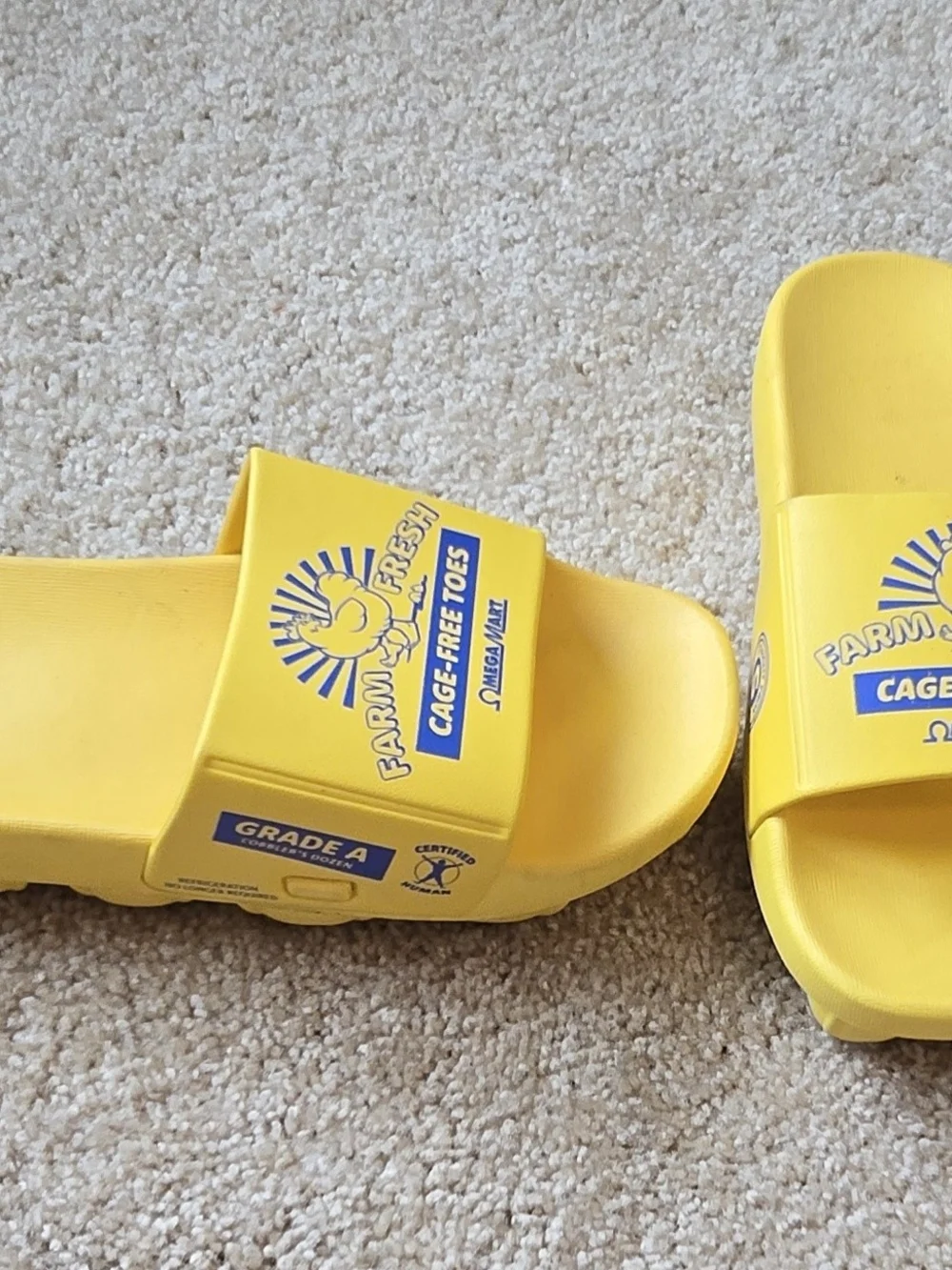 MEOW WOLF- OMEGA MART Farm Fresh Cage Free Toes Yellow Egg Carton Slides Sz. 7.5